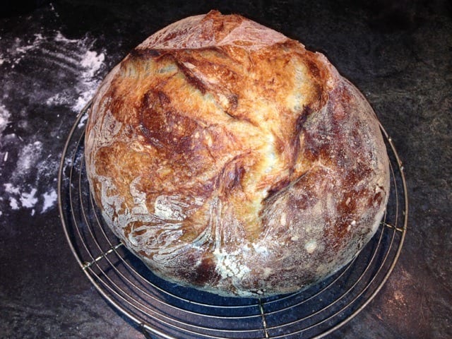 How Do You Get the Most Out of Your Money When Shopping for Bread Cloches?