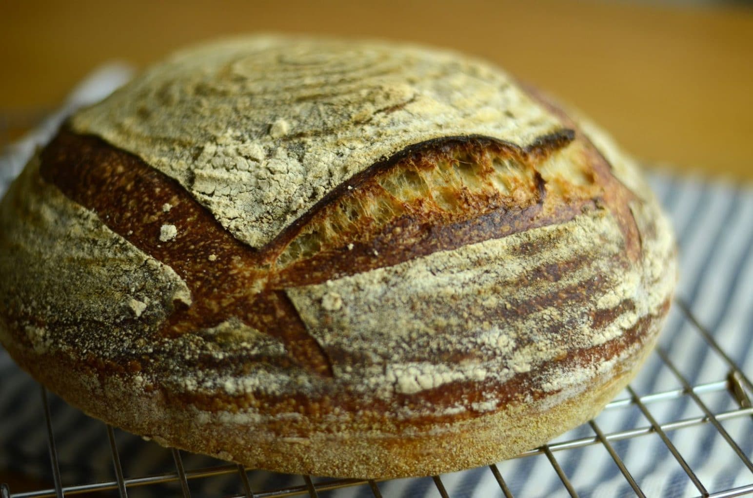 Bread Cloches and What They're Used For