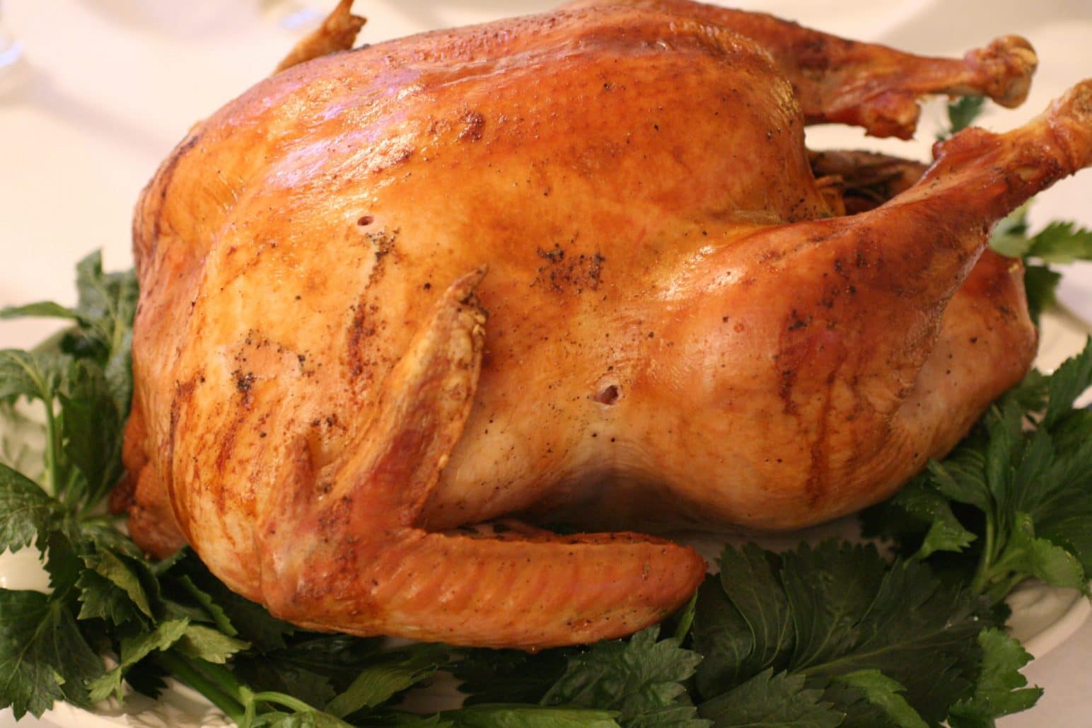 The Most Important Factor In Cooking Well With A Turkey Air Fryer