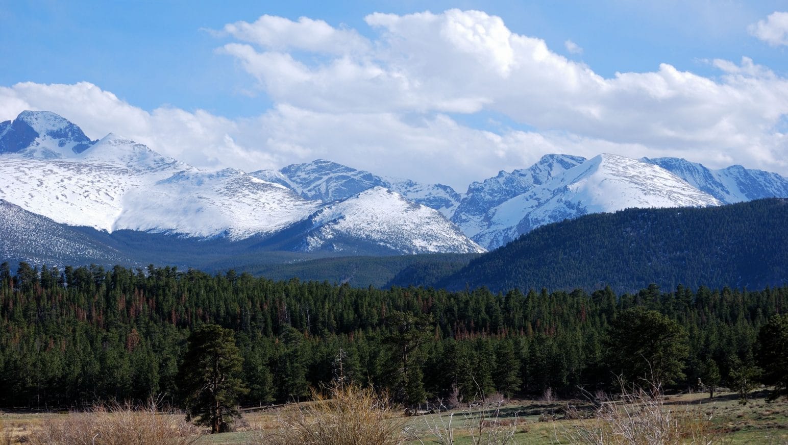 High Elevation Cooking: Solutions to Baking and Cooking at Elevations over 5,000 feet
