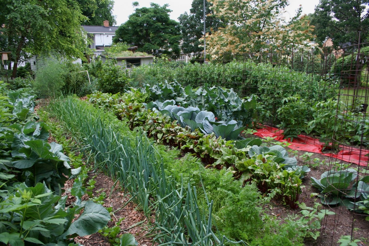 Vegetable Gardens by Jerry Baker Vegetable Tips, Tricks, and Tonics