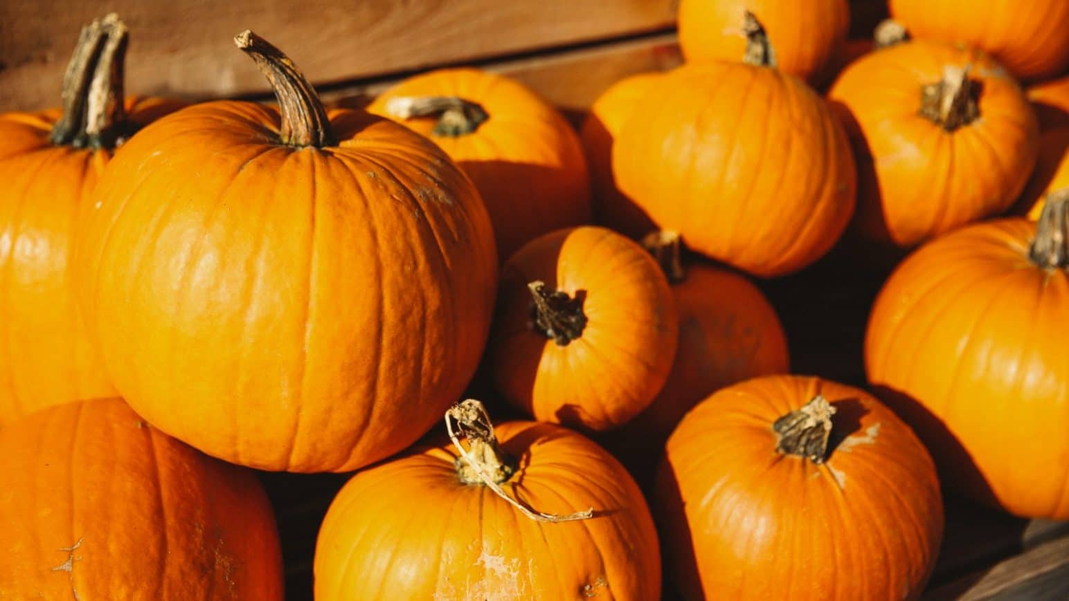 Must Have Aromatic Spices for Holiday Pumpkin Recipes