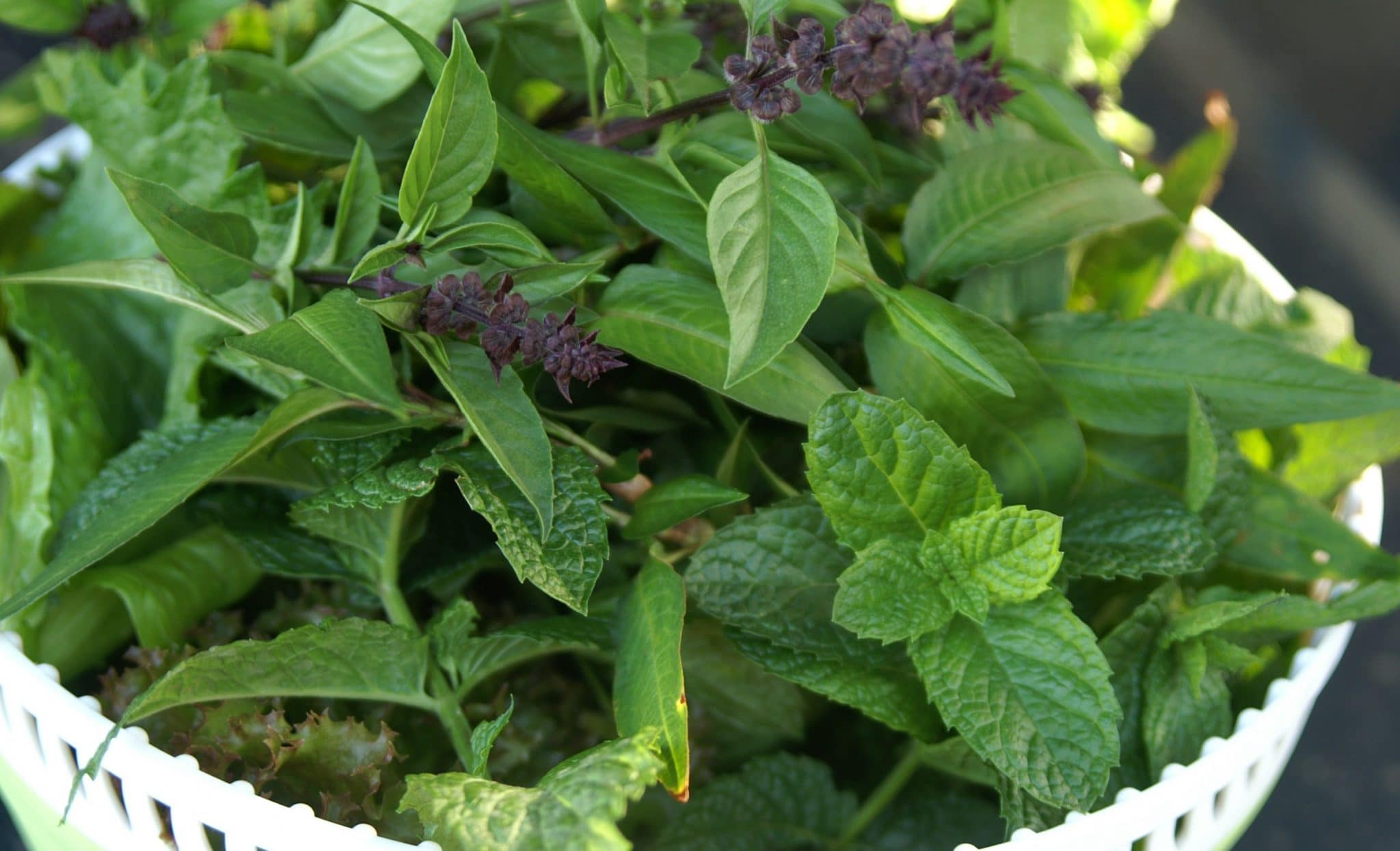 Ways to Use Herbs in Cooking