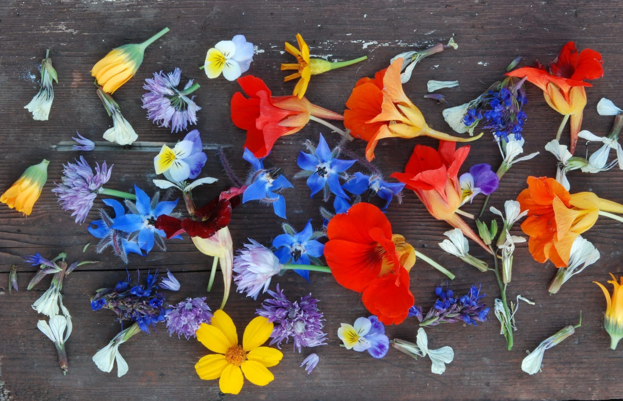 Using Edible Flowers in Cooking and Baking