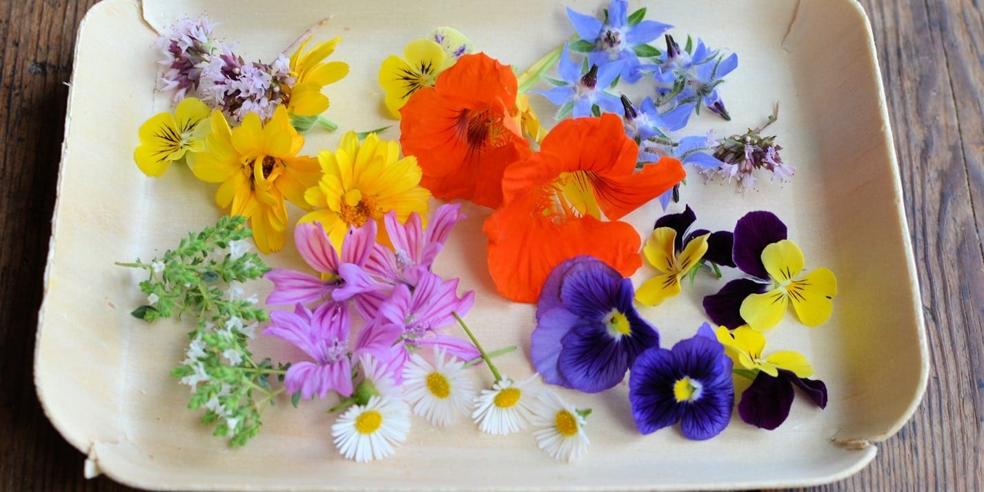 Edible Flowers: Florals You Can Eat