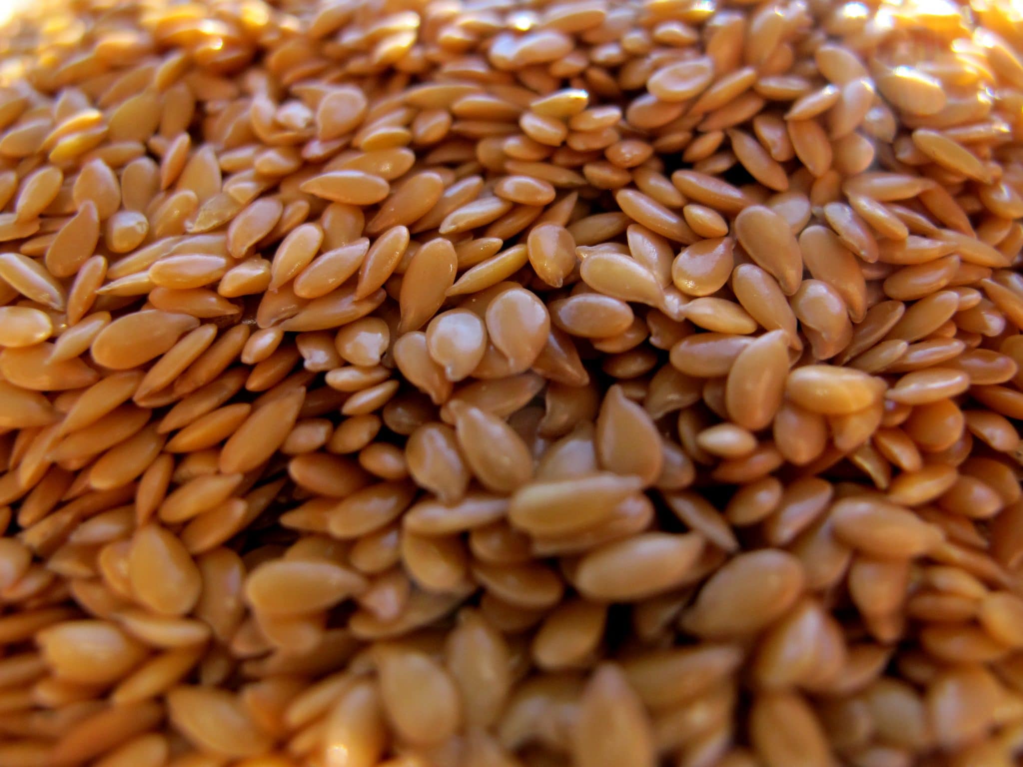 Vegetable and Flaxseed Soup Recipe