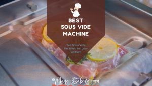 Best Sous Vide Machine