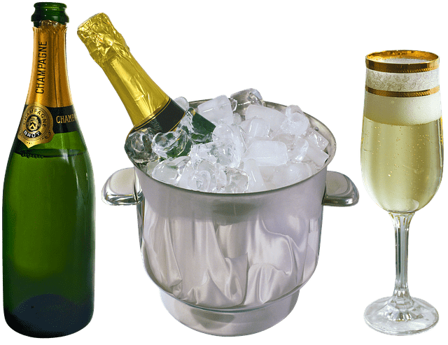 best insulated ice bucket