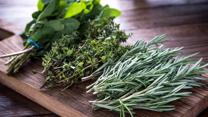 A Guide to Growing and Cooking with Herbs