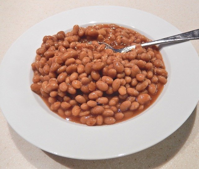 5 Best Canned Baked Beans for your Kitchen