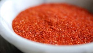 Best Paprika Substitute