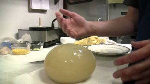 Ostrich Eggs' Taste And The Right Way To Cook Them