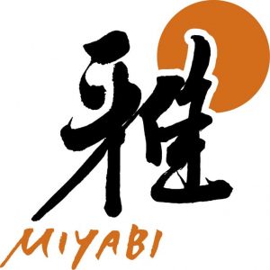 5 Best Miyabi Knives For Your Kitchen