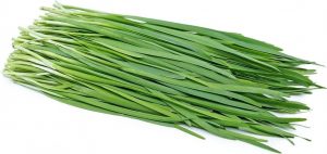Chives – Origin, Uses, Tips