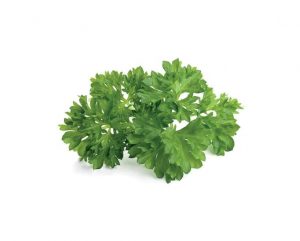 Parsley