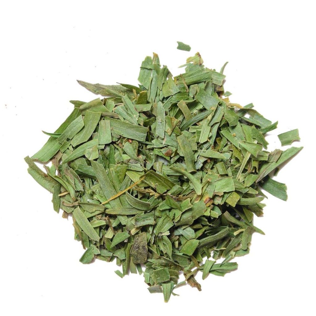 Tarragon Origin, Uses, Tips