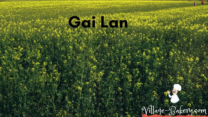 Gai Lan