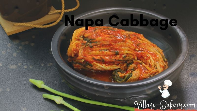 Napa Cabbage