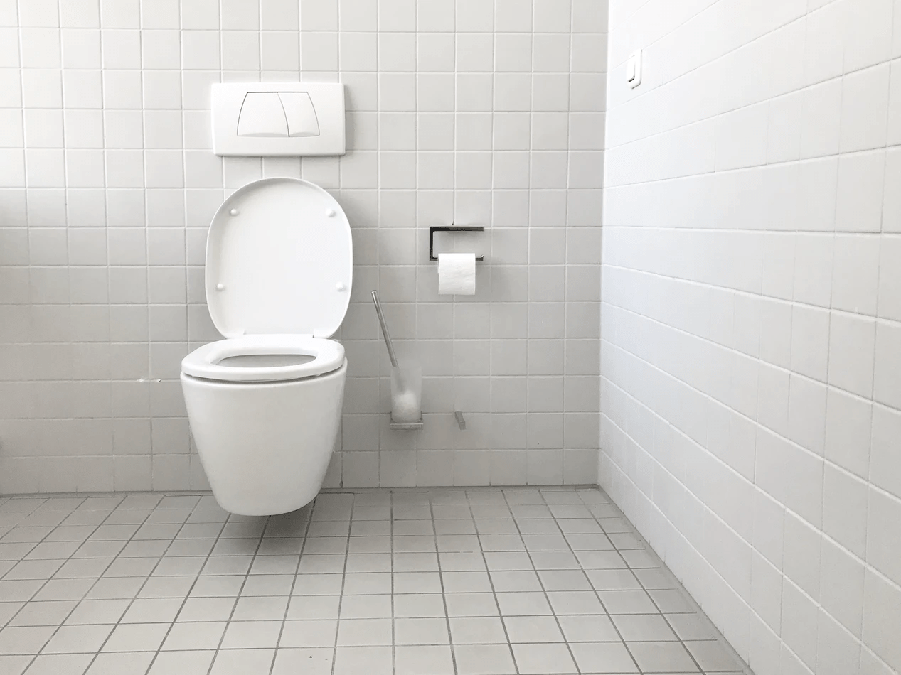 American Standard Toilets: Pros and Cons