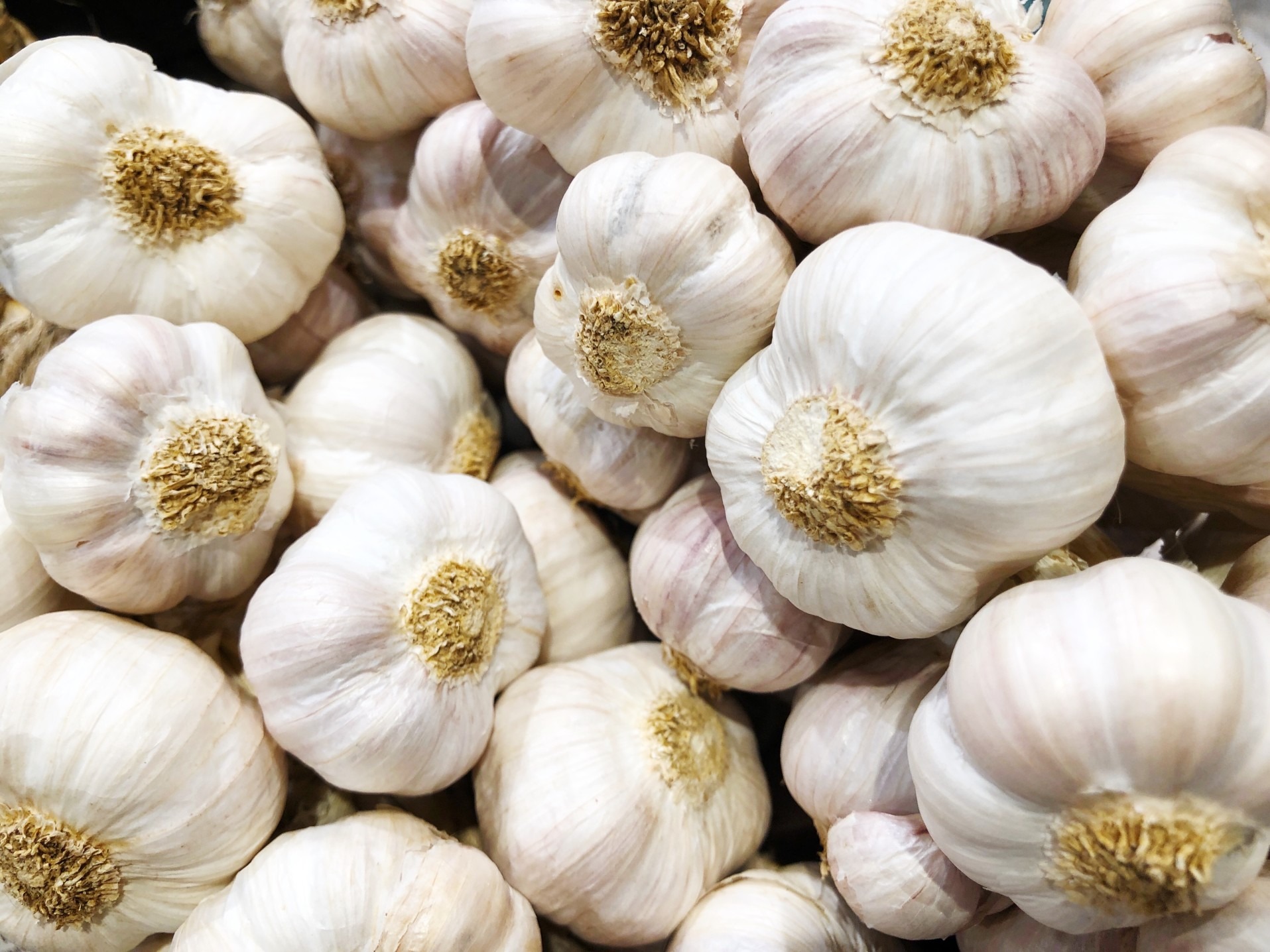 Surprising Health Benefits of Adding Garlic to Your Diet