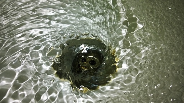 Signs That It's High Time To Get Your Drain Repaired