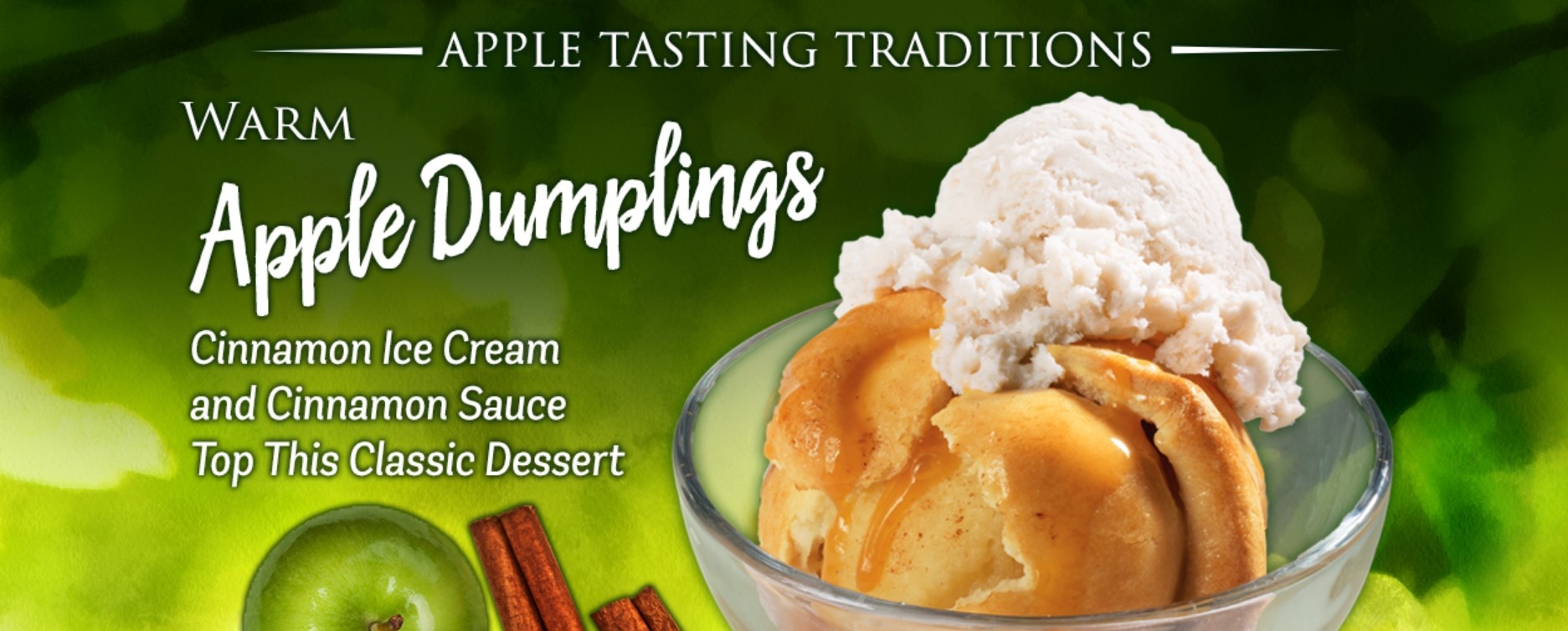 Bruster's Ice Cream Menu, Prices, Timings & History