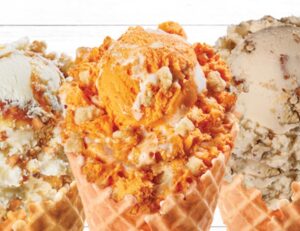 bruster's ice cream