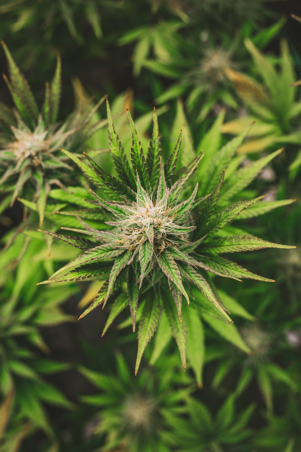 Top Tips for Hosting a Great Games Night