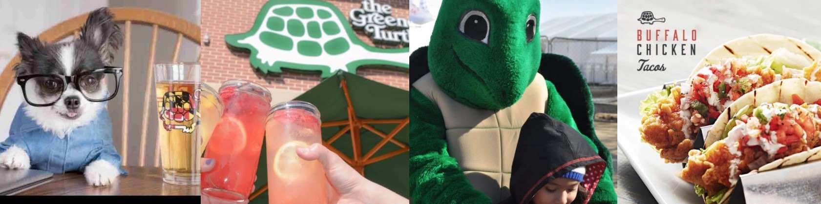The Greene Turtle Menu &amp; Prices