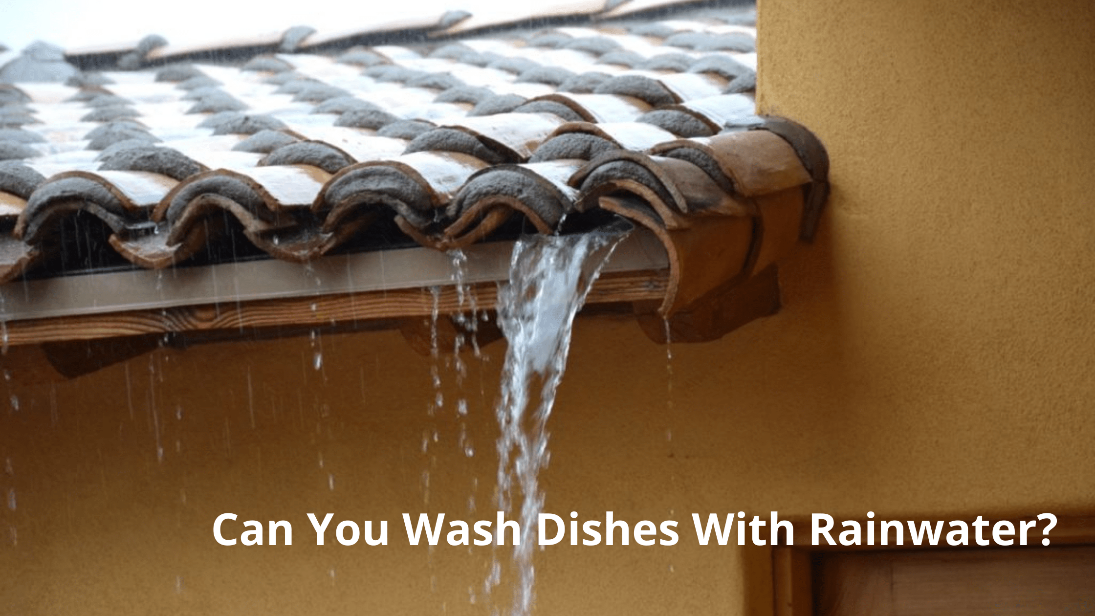 Can You Wash Dishes With Rainwater?