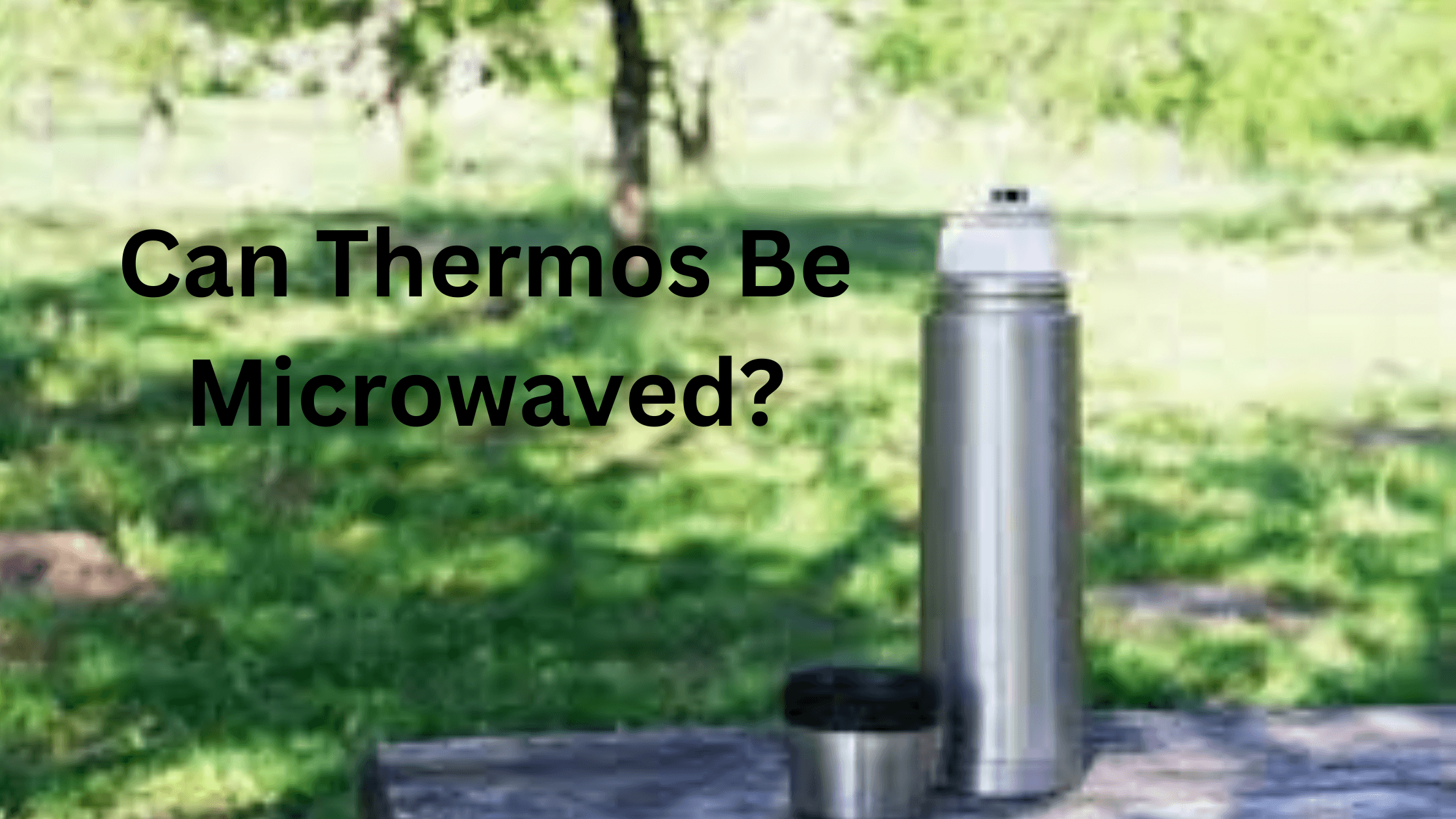Can Thermos Be Microwaved?