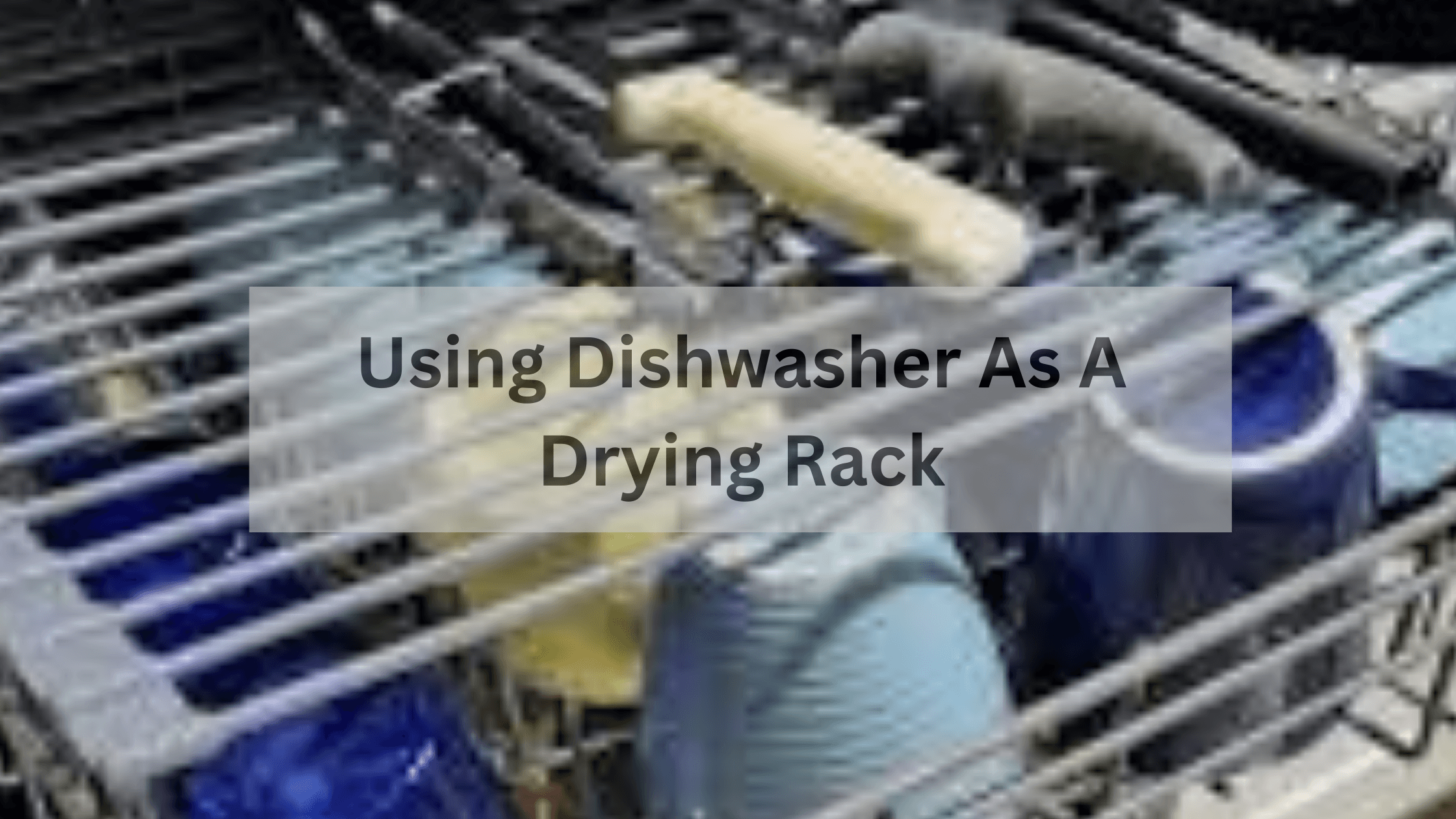 Dishwasher Guides Archives