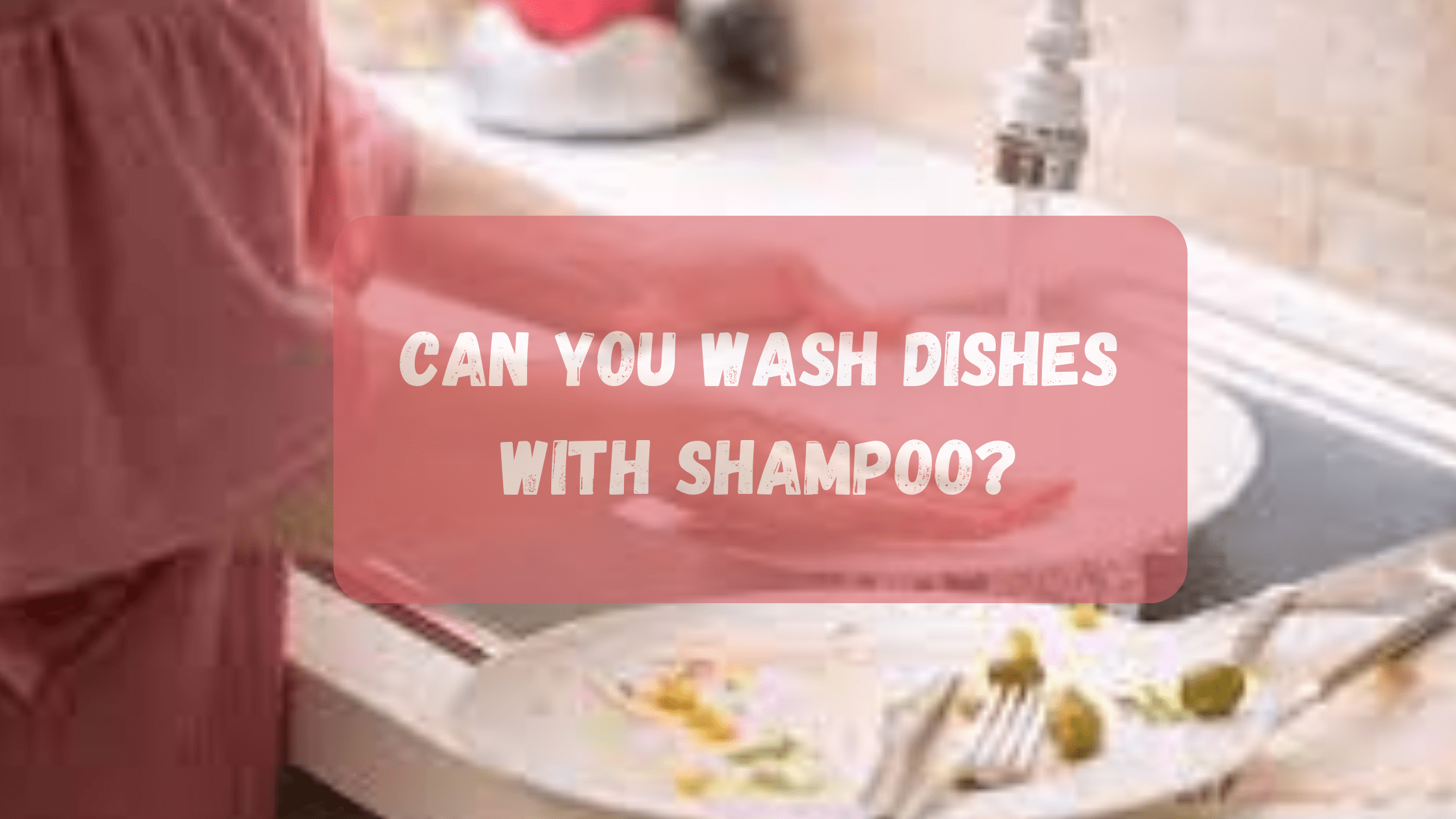 Can You Wash Dishes With Shampoo?